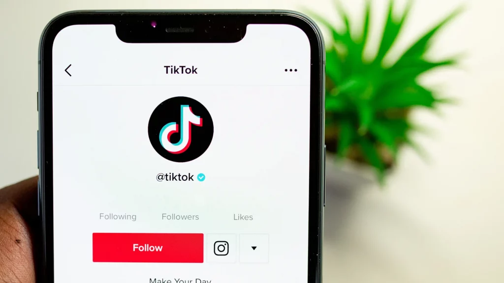 TikTok free web traffic sources